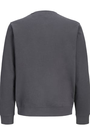 Jack & Jones JJEARCHIVE Graphic Erkek Baskılı Bisiklet Yaka Sweatshirt Günlük Rahat 