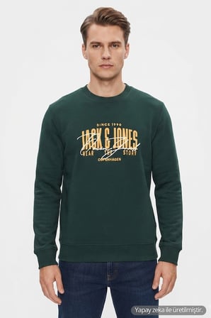 Jack & Jones Jjaero Erkek Sweatshirt