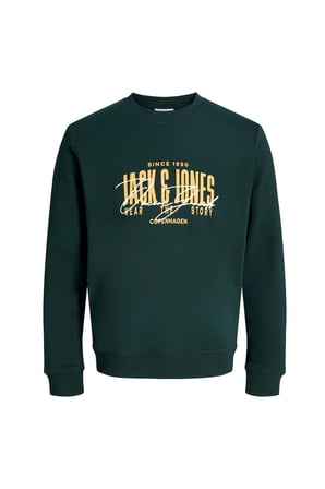 Jack & Jones Jjaero Erkek Sweatshirt