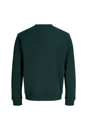 Jack & Jones Jjaero Erkek Sweatshirt