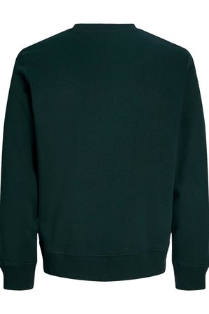 Jack & Jones JJRUSH Erkek Sweatshirt Bisiklet Yaka Rahat Günlük Pamuklu 