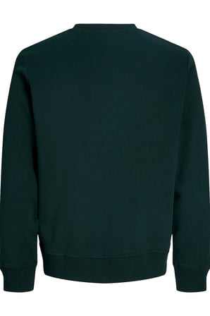 Jack & Jones JJRUSH Erkek Sweatshirt Bisiklet Yaka Rahat Günlük Pamuklu 