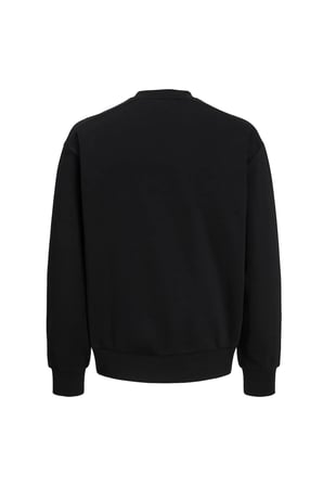 Jack & Jones Jcoclub Erkek Sweatshirt