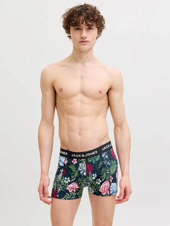 Jack Jones Ozzıe 5 Li Paket Erkek Boxer 12307722