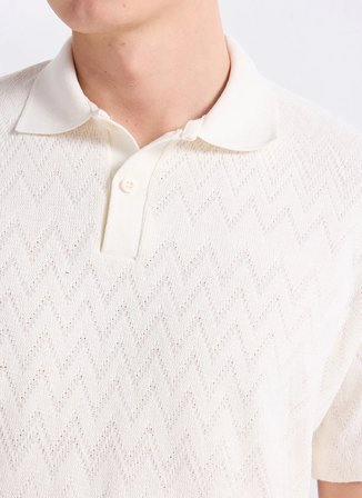Jack & Jones Ekru Erkek Regular Fit Zikzak Desenli Polo T-Shirt 12308294 JPRBLATRENTONJACQU POLOSMU