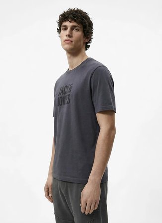 Jack & Jones Gri Erkek Regular Fit Logo Baskılı T-Shirt 12307780 JCOTONE TEE CRW NECK BSS26