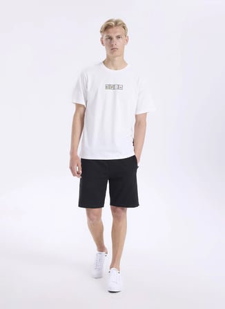 Jack & Jones Bej Erkek Regular Fit Pano Desen T-Shirt 12306234 JORSCENE TEE SS CREW BSS26