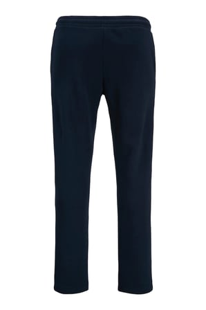 Jack & Jones Erkek Jpstgordon Beli Lastikli ve Bağcıklı Eşofman Altı 12310633 Lacivert