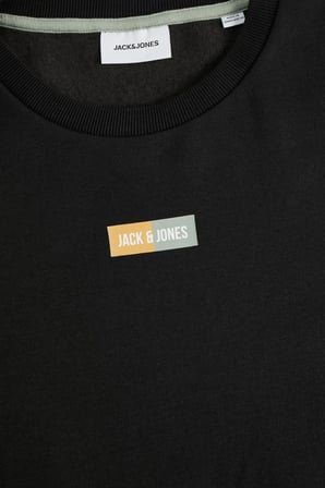 Jack & Jones Erkek Jjpan Bisiklet Yaka Logo Detaylı Sweatshirt 12310759 Siyah