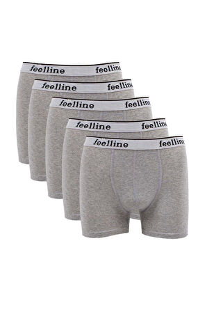 biçomi 5 adet Feelline Gri Pamuklu Doğal Likralı Erkek Boxer