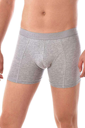 biçomi 3 adet Tutku Likralı Erkek Gri Boxer 0114