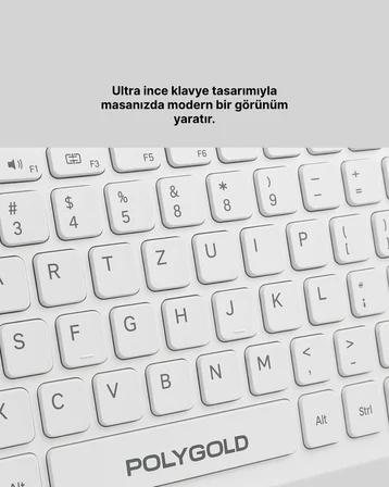 PG-8040 KLAVYE VE MOUSE SETİ