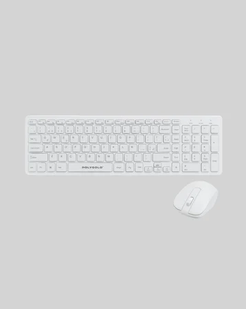 PG-8040 KLAVYE VE MOUSE SETİ