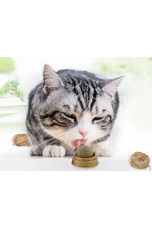 3 Adet Kedi Otu Oyun Topu – Çift Taraflı Bantlı Yapışkan Kedi Oyuncağı, Catnip Ball, Kedi Oyunu