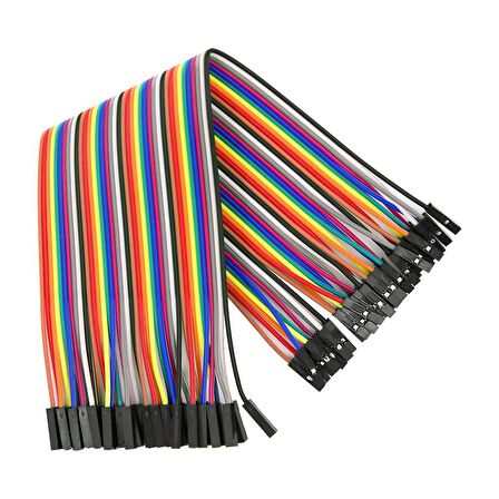 40 Pin Dişi - Dişi Dupont Kablo - 20cm