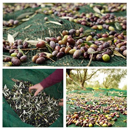 5X8 METRE ZEYTİN SERGİSİ ZEYTİN TOPLAMA FİLESİ FINDIK FISTIK ÖRTÜSÜ %75 GÖLGELİK DUT MEYVE SERGİSİ TABAN ÖRTÜSÜ