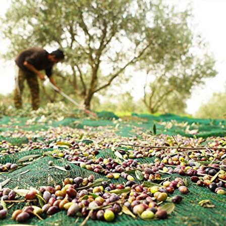 5X8 METRE ZEYTİN SERGİSİ ZEYTİN TOPLAMA FİLESİ FINDIK FISTIK ÖRTÜSÜ %75 GÖLGELİK DUT MEYVE SERGİSİ TABAN ÖRTÜSÜ