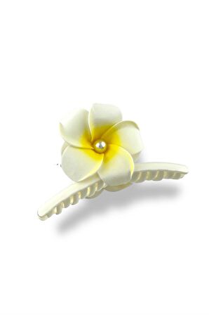 Hibiscus Lüks Asetat Mandal Toka TrToka9945