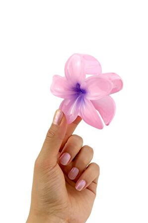 Hibiscus Lüks Asetat Mandal Toka TrToka9945