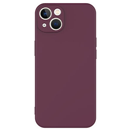iPhone 13 Kılıf İçi Telefonu Çizmeyen Kadife Kaplı Dışı Soft Yapılı Esnek Lansman Kapak RYC/Mara