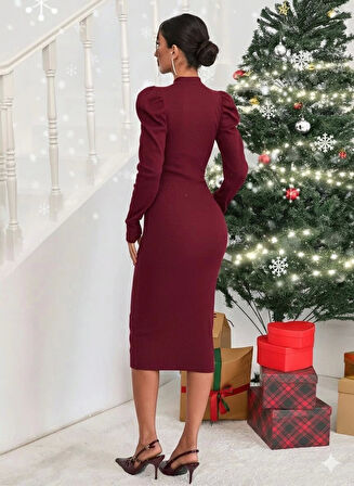 BİÇOMİ Prenses kol kaşkorse elbise bordo a3691