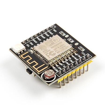 ESP-12F Mini NodeMCU WiFi Modülü