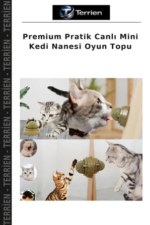 Premium Pratik Canlı Mini Kedi Nanesi Oyun Topu