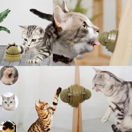 Premium Pratik Canlı Mini Kedi Nanesi Oyun Topu