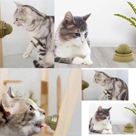 Premium Pratik Canlı Mini Kedi Nanesi Oyun Topu