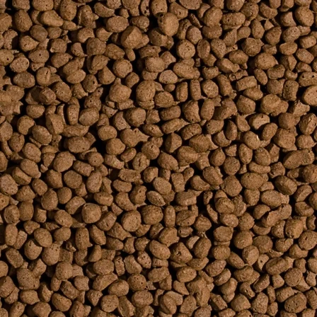 Tropical Koi Wheat Germ Garlic Pellet Size M 7 Kg