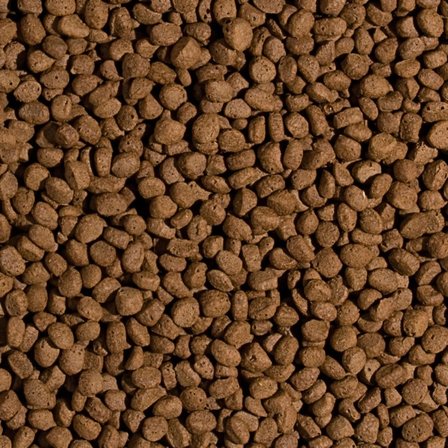 Tropical Koi Wheat Germ Garlic Pellet Size M 1000 ml 320 Gr Kutu Yem