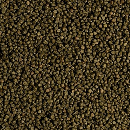 Tropical Koi Wheat Germ Garlic Pellet Size S 1000 ml 320 Gr Kutu Yem
