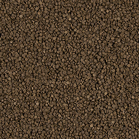 Tropical Welsi Gran 100 Gram Balık Yemi