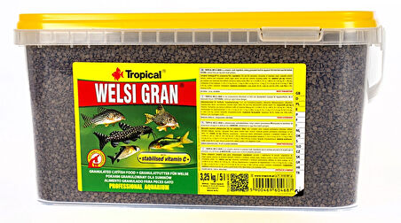 Tropical Welsi Gran 1000 Gram Kovadan Bölme