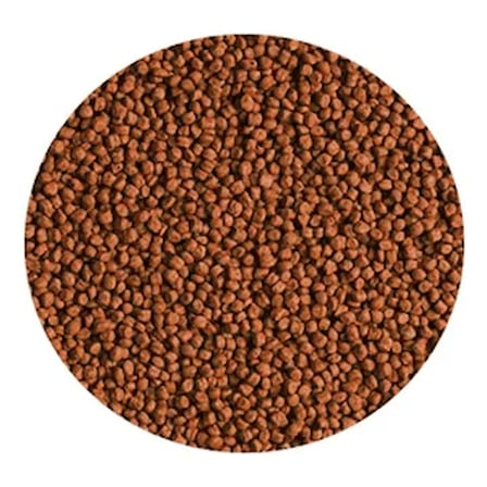Tropical Red Parrot Gran Açık 250gr