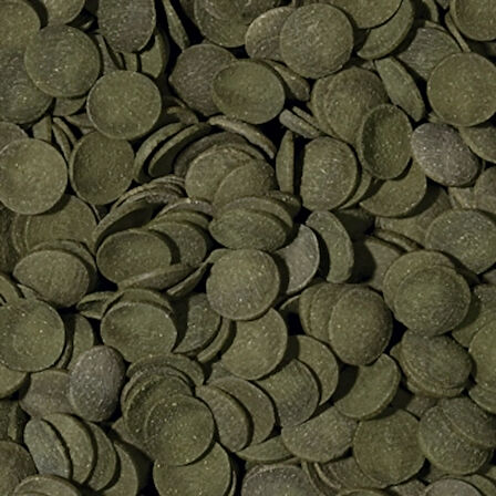 Tropical Green Algae Wafers 500 Gram Kovadan Bölme