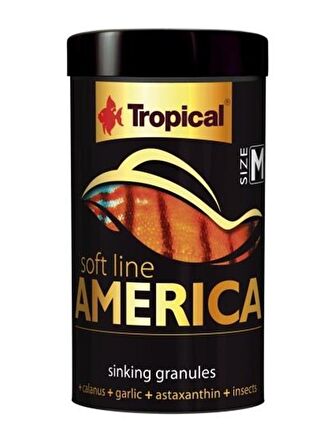 Tropical Soft Line America Size M 100 Ml