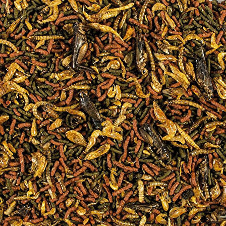 Tropical Soft Line Carnivore 250 Gram Balık Yemi