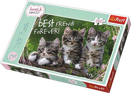 Trefl Kitty Pals 11+ Yaş Orta Boy Puzzle 260 Parça