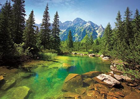 Trefl Puzzle Tatra Mountains 11+ Yaş Orta Boy Puzzle 500 Parça