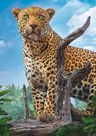 Trefl Puzzle Wild Leopard 11+ Yaş Orta Boy Puzzle 500 Parça