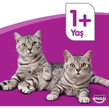 Whiskas Whıskas® Sığırlı (Biftekli) Kuru Kedi Maması 1+ Yaş 300 Gram (14 Adet)