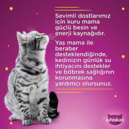 Whiskas Somonlu Yetişkin Kedi Yaş Maması 28X85 gr