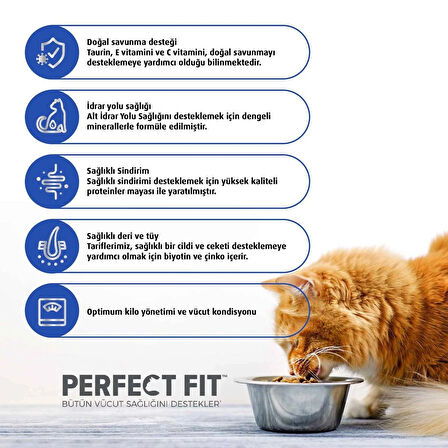 PERFECT FİT ADULT ACTİVE BF  DE/AT/NL 1400 GR