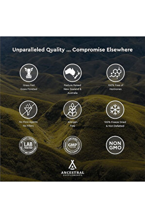 Ancestral Supplements Grass Fed Beef Brain 500 Mg 180 Kapsül