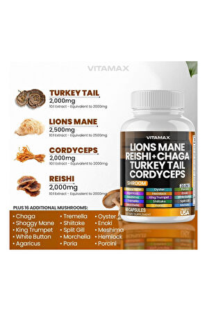 Lions Mane Reıshı + Chaga Turkey Tail Cordyceps 60 Kapsül