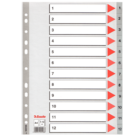 Esselte Seperatör 1-12 Rakamlı Plastik A4 100106