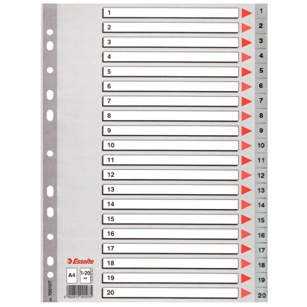 Esselte Seperatör 1-20 Rakamlı Plastik A4 100107