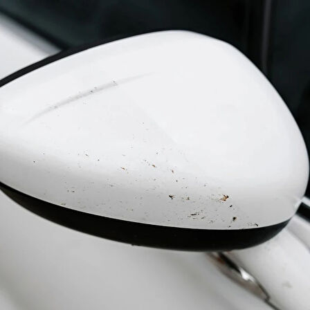 K2 Nuta Anti Insect PRO Sinek Böcek Kuş Pisliği Temizleyici 1L