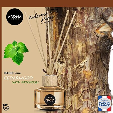 Aroma Home Basic Line Likit Koku Cedar Wood With Patchouli 50ml. 